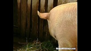 extremely aged anal grannies